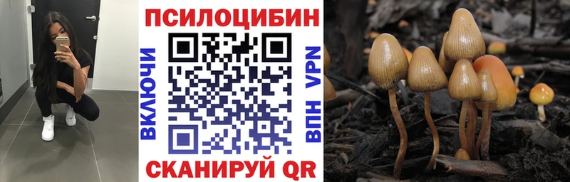 купить  цена  Брюховецкая  Псилоцибиновые грибы Magic Shrooms 